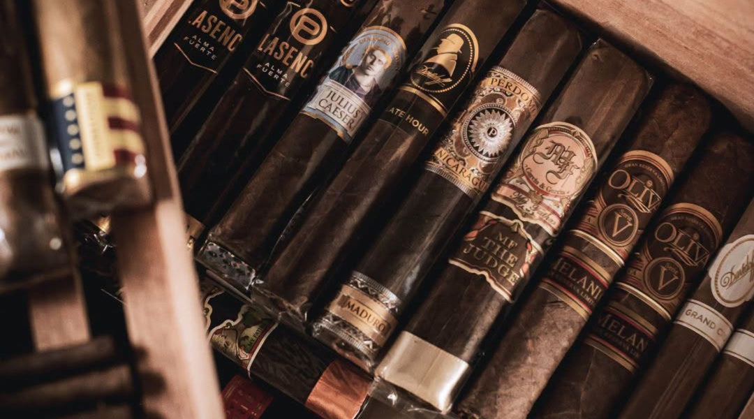 Buying guide to Amazon humidors